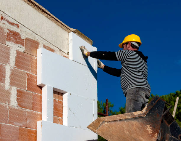 Best Cellulose Insulation in Carthage, TX