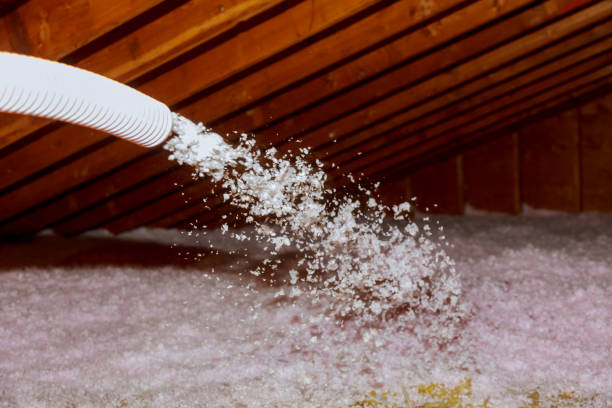 Best Specialized Insulation Services in Carthage, TX
