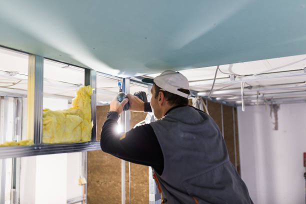 Best Spray Foam Insulation in Carthage, TX