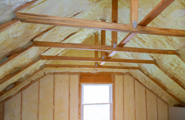 Best Geographic-Specific Insulation Services in Carthage, TX