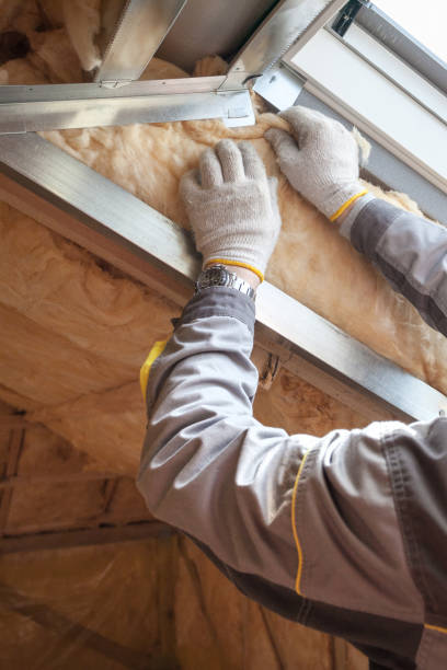 Best Commercial Insulation in Carthage, TX