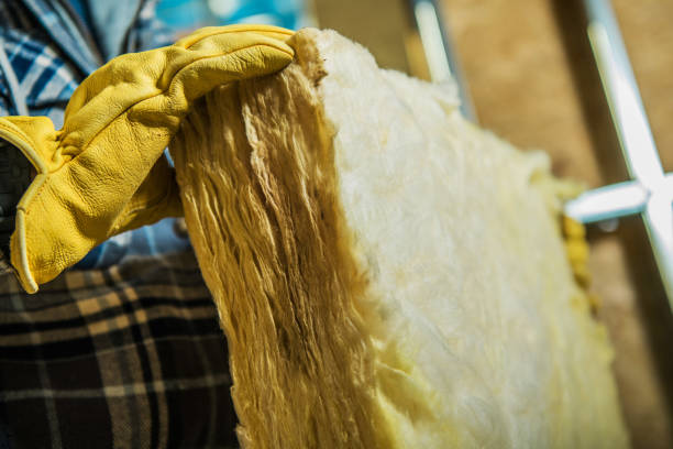 Types of Insulation We Offer in Carthage, TX
