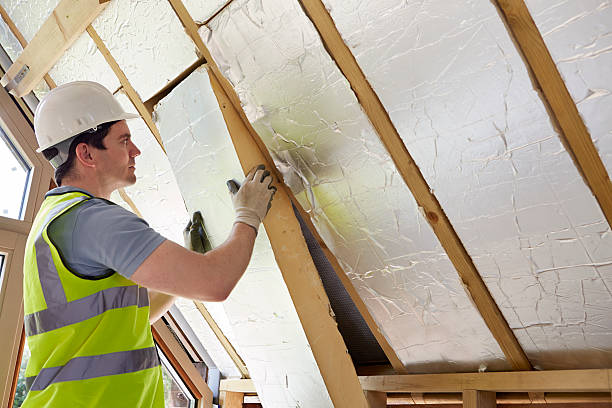 Professional Insulation Contractor in Carthage, TX