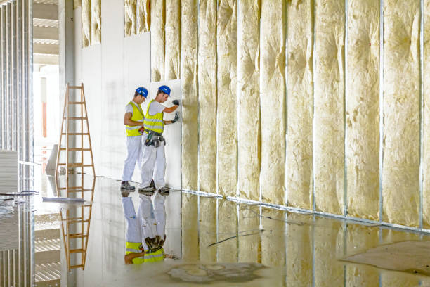 Best Eco-Friendly Insulation in Carthage, TX